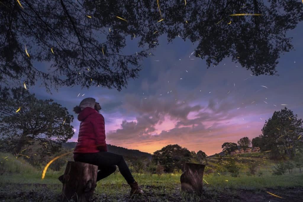¿A qué hora es mejor entrar al Santuario de las Luciérnagas en Nanacamilpa para evitar la lluvia de junio?