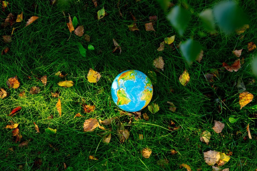 Por un mundo verde.