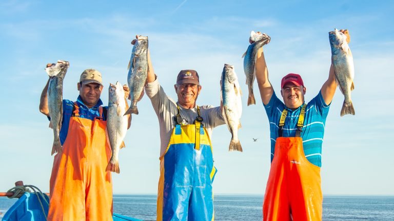 Día de la Gente de Mar 2025: historia, lema y cómo apoyar a quienes navegan el mundo