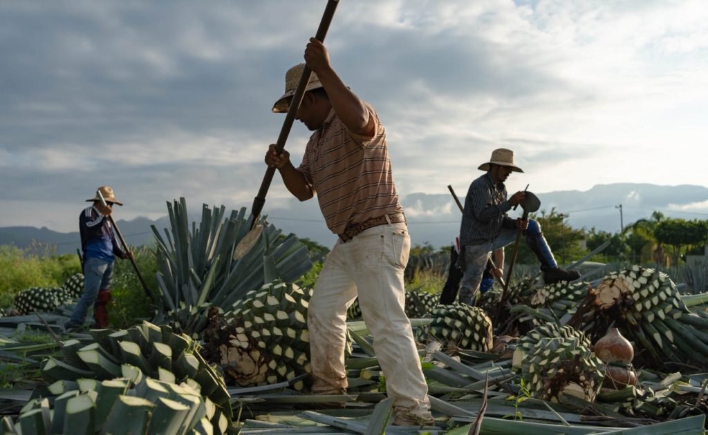 Mezcal