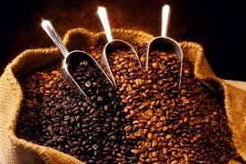 La Ruta del Café en Chiapas: ¡Guía completa de las fincas que debes visitar!