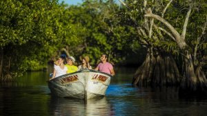 Nayarit (Reserva de La Tovara, en San Blas)