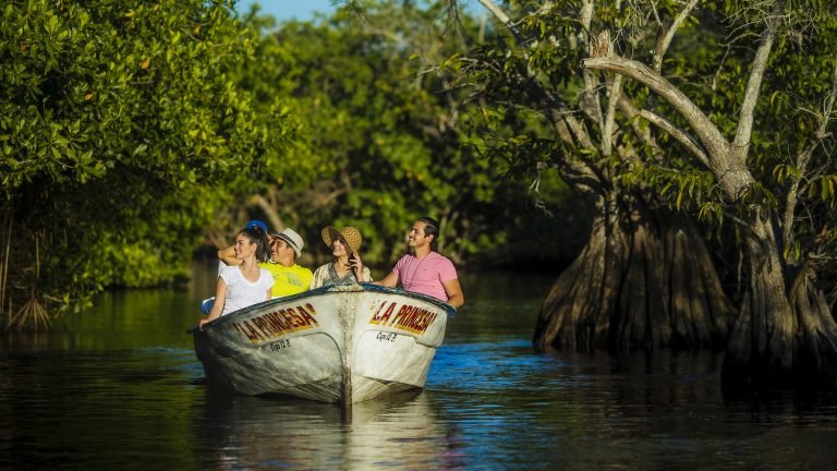 Paseos en lancha por manglares mexicanos. ¡Aquí te decimos dónde vivir la experiencia!