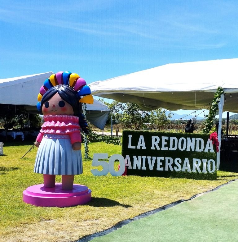 Viñedos La Redonda cumple 50 años. ¡Conoce su historia y planes para celebrar este aniversario!