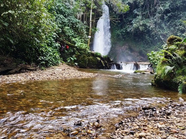 Descubre la Cascada La Rosa, uno de los paisajes más impresionantes de Hidalgo que quedó inmortalizado en un dibujo del explorador alemán Alexander Von Humboldt.