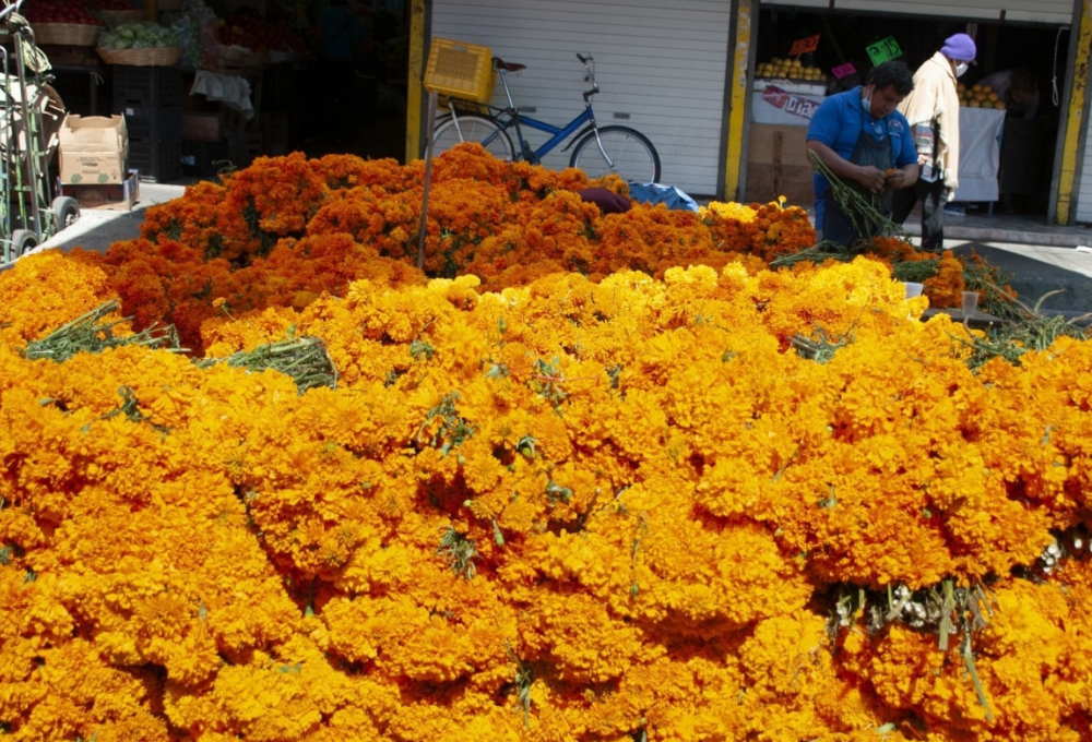el origen de la flor de Cempasúchil. Mercados