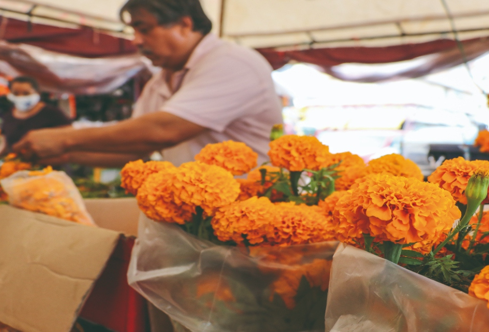 Mercado de Jamaica: Variedad y tradición en flores