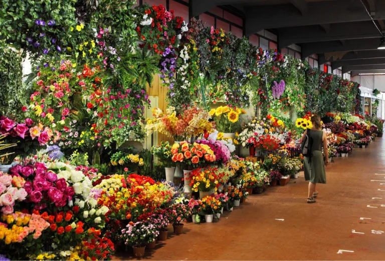 La historia fascinante del Mercado de Jamaica en la Ciudad de México
