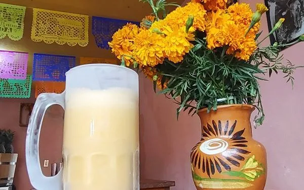 El curado de cempasúchil, una bebida tradicional que mezcla pulque con pétalos de la flor de muertos. Descubre cómo esta tradición puede beneficiar tu salud y sentido cultural.