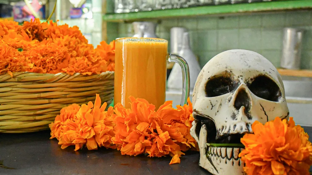 El curado de cempasúchil, una bebida tradicional que mezcla pulque con pétalos de la flor de muertos. Descubre cómo esta tradición puede beneficiar tu salud y sentido cultural.
