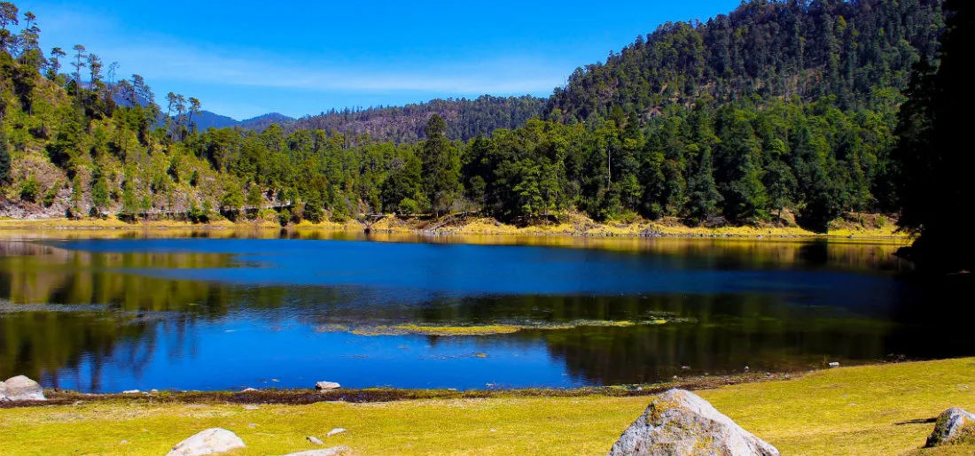 A poco más de una hora de la CDMX se encuentra un paraíso rodeado de montañas, pinos y niebla. Conoce el destino perfecto para quienes buscan escapar del ruido y conectar con la naturaleza.