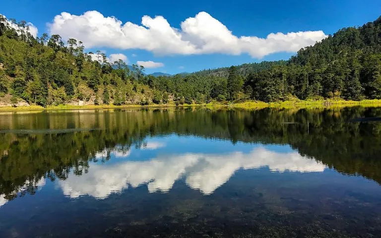 A poco más de una hora de la CDMX se encuentra un paraíso rodeado de montañas, pinos y niebla. Conoce el destino perfecto para quienes buscan escapar del ruido y conectar con la naturaleza.