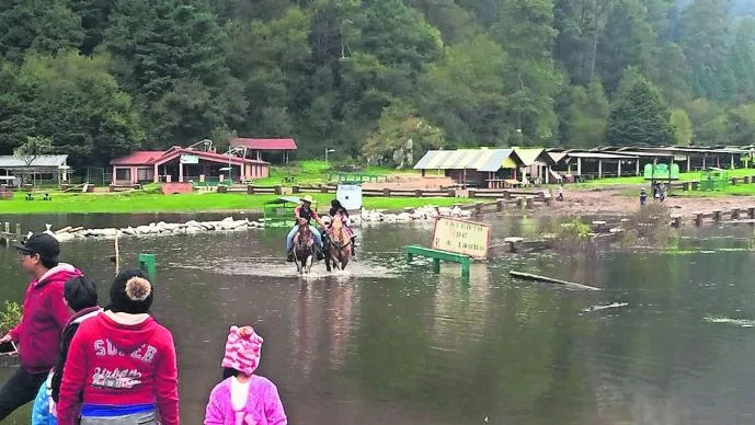 A poco más de una hora de la CDMX se encuentra un paraíso rodeado de montañas, pinos y niebla. Conoce el destino perfecto para quienes buscan escapar del ruido y conectar con la naturaleza.