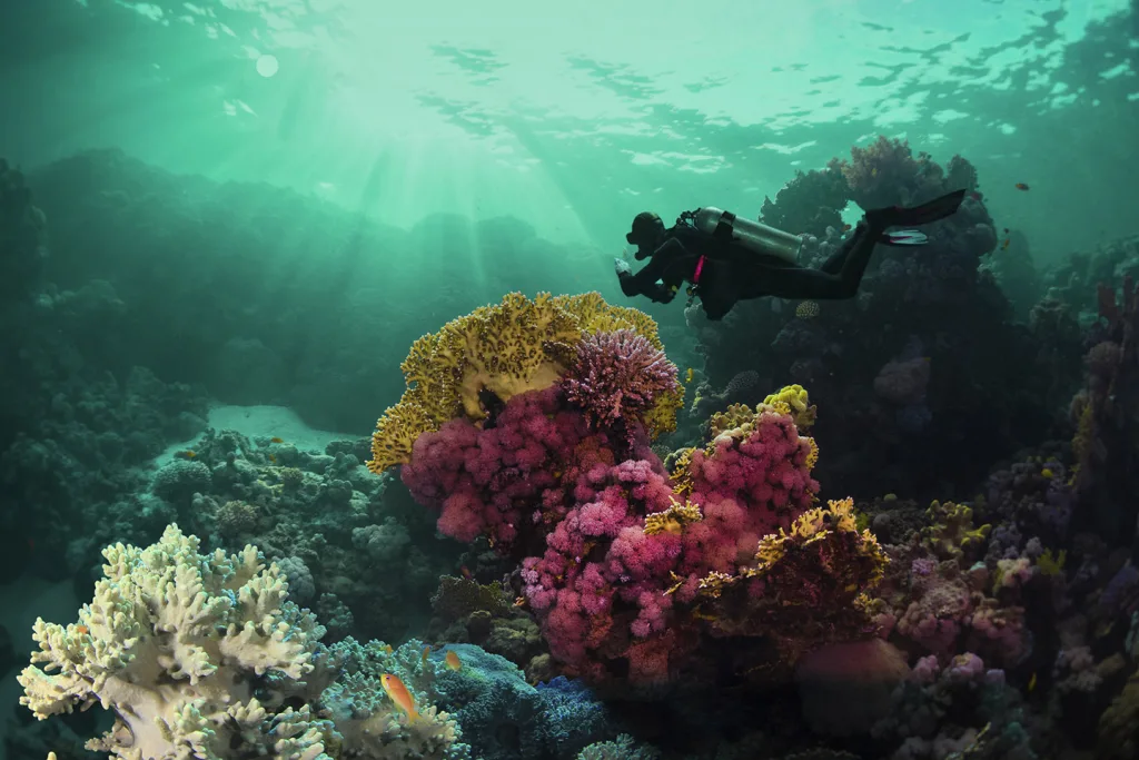 Descubre tres joyas de la Riviera Maya que combinan naturaleza, cultura y lujo. Te contamos qué los hace especiales, cuándo visitarlos, y cómo incluirlos en tu próximo viaje al Caribe mexicano.