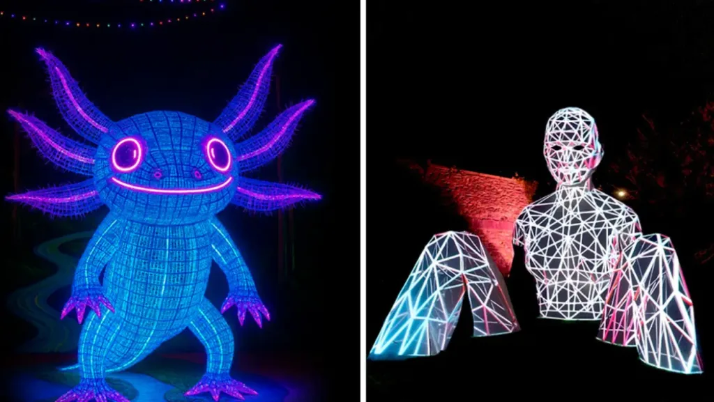 El Festival Internacional de las Luces (FILUX) regresa en 2025 a la Ciudad de México con nuevas instalaciones luminosas, arte urbano y experiencias interactivas. Conoce las fechas, sedes y lo que no puedes perderte de este espectáculo gratuito.
