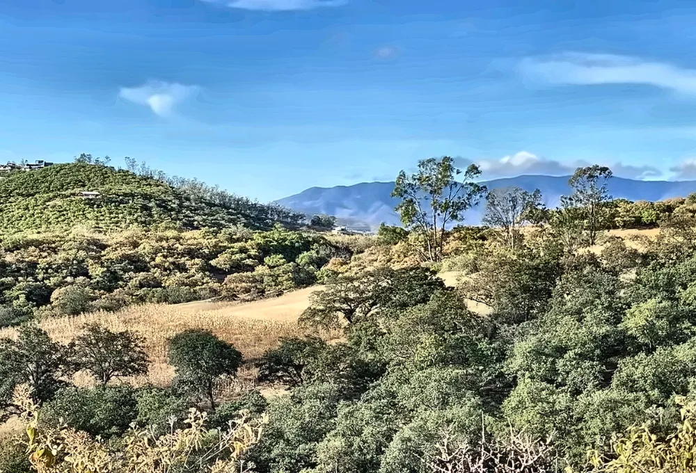 Rutas de senderismo en Oaxaca: itinerarios detallados para disfrutar en familia esta temporada