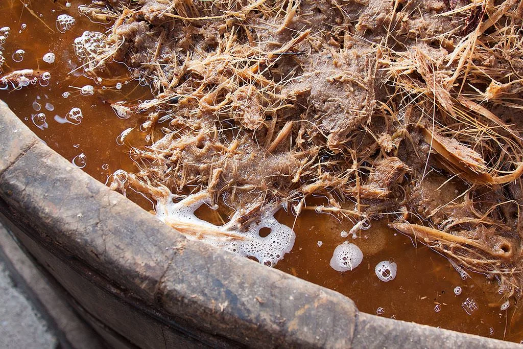 Las tinas de mezcal son el corazón del proceso artesanal que da vida a una de las bebidas más emblemáticas de México. Descubre cómo se elaboran, por qué son clave en la fermentación y cómo cada material aporta aromas únicos a este destilado ancestral.