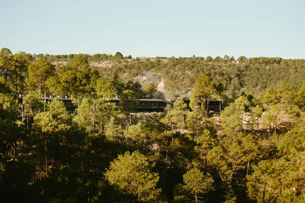 Este invierno, el Chepe Express te ofrece una experiencia inolvidable. Descubre cuándo es la temporada más propicia para ver la nieve, cuánto cuesta el viaje y cómo prepararte para vivir la magia invernal.