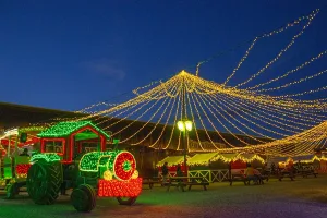 Conoce todas las novedades de Brilla Fest 2025, el festival navideño más emblemático de Atlixco, Puebla.