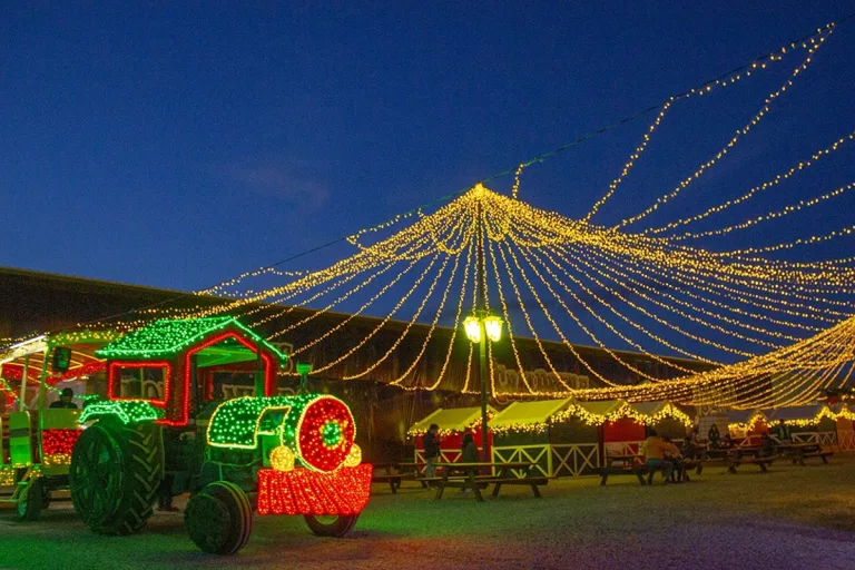 Conoce todas las novedades de Brilla Fest 2025, el festival navideño más emblemático de Atlixco, Puebla. 