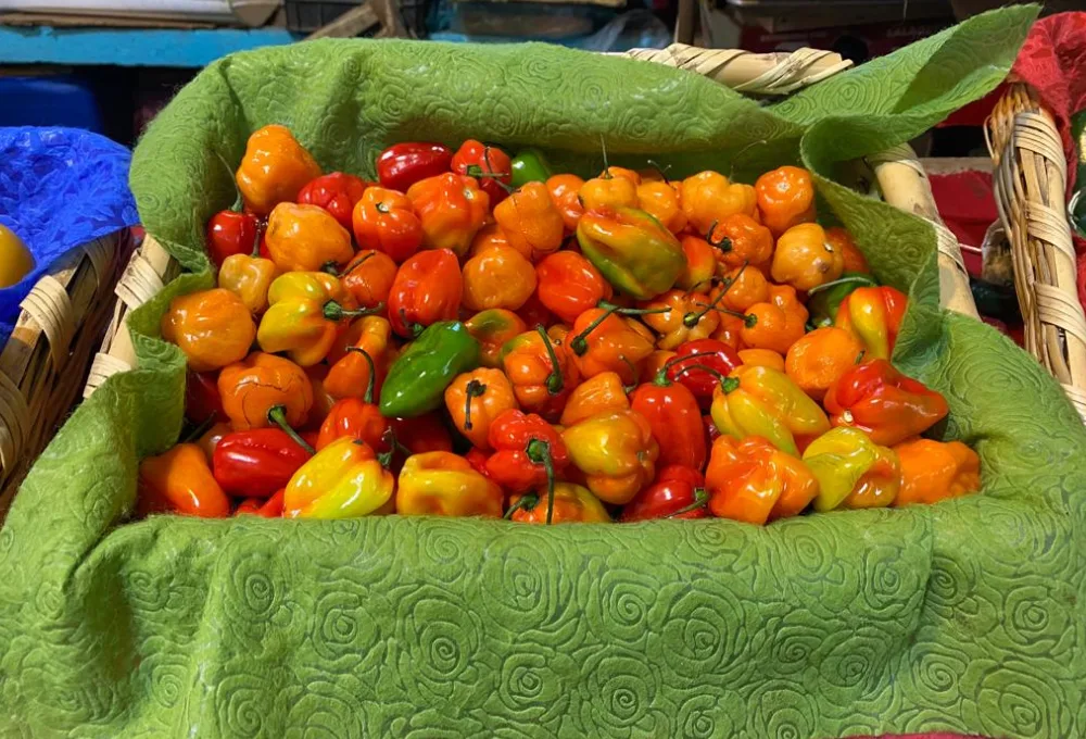 Chile habanero