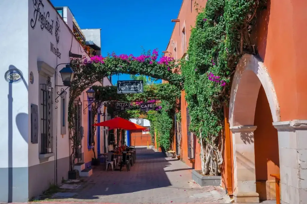 A solo unas horas de la Ciudad de México, Tequisquiapan, destaca por su gastronomía, cultura vinícola y experiencias ecoturísticas, convirtiéndose en un destino imperdible durante diciembre. Descubre qué lo hace especial, qué actividades puedes vivir, cómo llegar y por qué es ideal para planea tu escapada de fin de año.