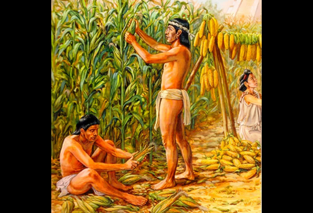 “Ya nos cayó el chahuistle”. Historia. Maizal en época prehispánica.