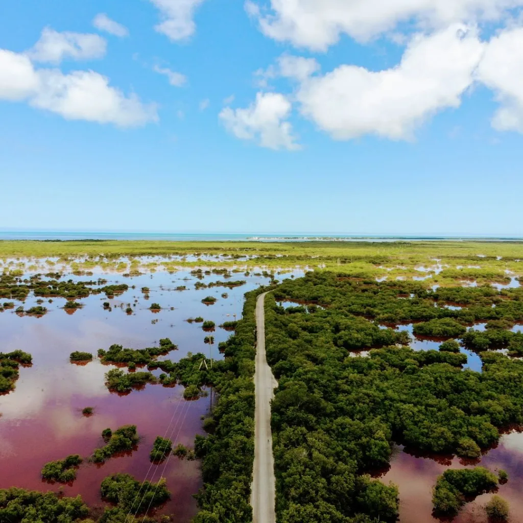 Entre manglares infinitos, aguas tranquilas y el vuelo rosa de los flamencos, Isla Arena es uno de los secretos mejor guardados de Campeche. Este destino poco conocido ofrece naturaleza en estado puro, calma absoluta y una experiencia que ayuda a reconectar contigo, reducir el estrés y redescubrir el placer de viajar sin prisas.