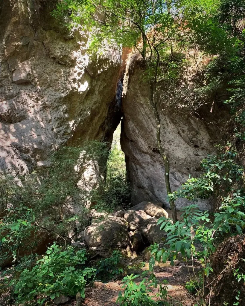 Entre montañas, misticismo y senderos rodeados de naturaleza, Amatlán de Quetzalcóatl, guarda un bosque poco conocido que se ha convertido en el escape perfecto para quienes buscan reconectar, respirar aire puro y descubrir uno de los rincones más espirituales de Morelos.