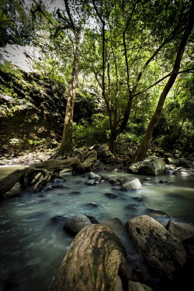 Entre montañas, misticismo y senderos rodeados de naturaleza, Amatlán de Quetzalcóatl, guarda un bosque poco conocido que se ha convertido en el escape perfecto para quienes buscan reconectar, respirar aire puro y descubrir uno de los rincones más espirituales de Morelos.