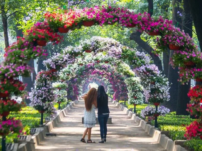 El “Festival Flores y Jardines de Polanco 2026” ya tiene fecha confirmada. Descubre cuándo es, u historia y por qué es uno de los eventos más fotogénicos de la CDMX. ¡No te lo puedes perder!
