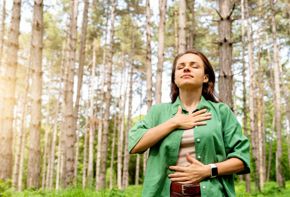 Fitoncidas: El "antibiótico" natural que inhalamos en el bosque. Respiración. Wellness. Salud y Bienestar