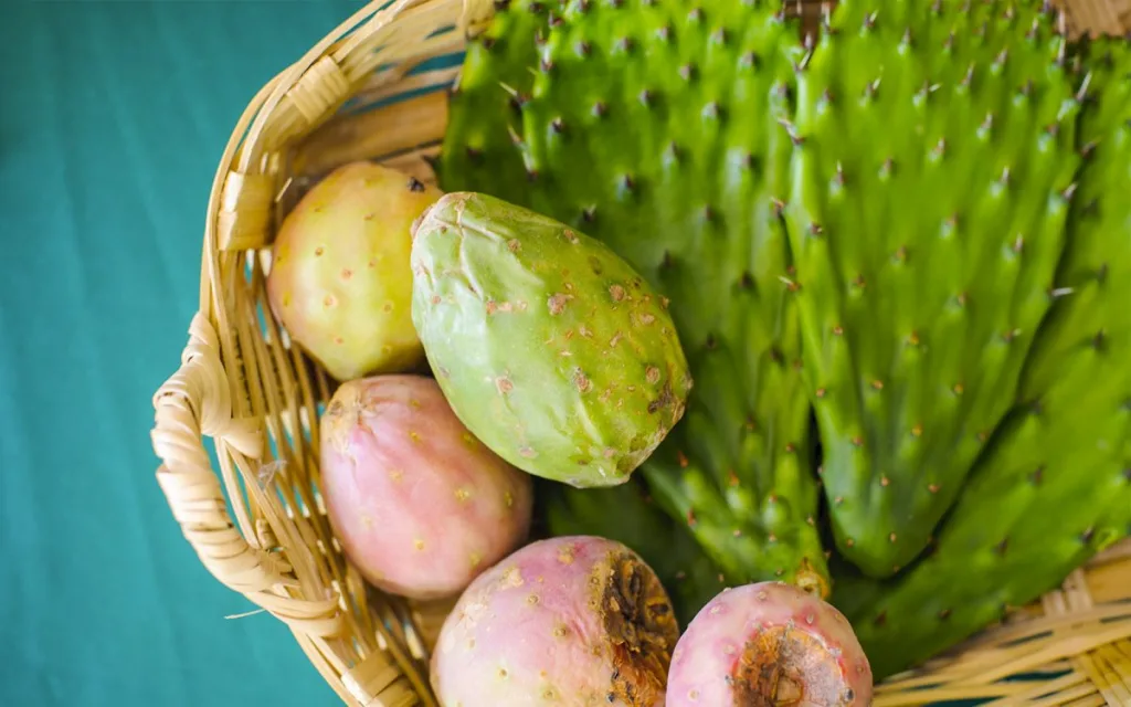 Descubre por qué el nopal es alimento, símbolo nacional y emblema de nuestro país. Conoce su historia, valor cultural, importancia nutricional y significado en la identidad mexicana. ¿Es de tus comidas favoritas?