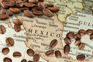 Descubre la historia de la Ex-Hacienda de Guadalupe en Veracruz, el sitio donde se sembró la primera mata de café en México. Aprende cómo llegó el café, por qué este lugar es importante y cómo puedes visitarlo. ¿Te vas a lanzar?