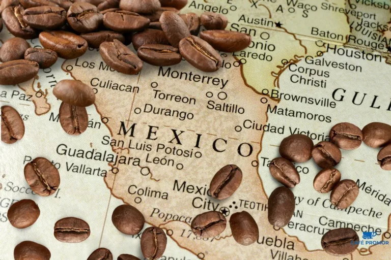 Descubre la historia de la Ex-Hacienda de Guadalupe en Veracruz, el sitio donde se sembró la primera mata de café en México. Aprende cómo llegó el café, por qué este lugar es importante y cómo puedes visitarlo. ¿Te vas a lanzar?