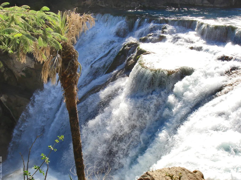 Descubre El Naranjo, en San Luis Potosí, el destino de aguas turquesa en la Huasteca Potosina que puedes visitar con accesos por menos de $100 pesos. Conoce sus cascadas y qué hacer en este paraíso natural. ¿Cuándo te lanzas?