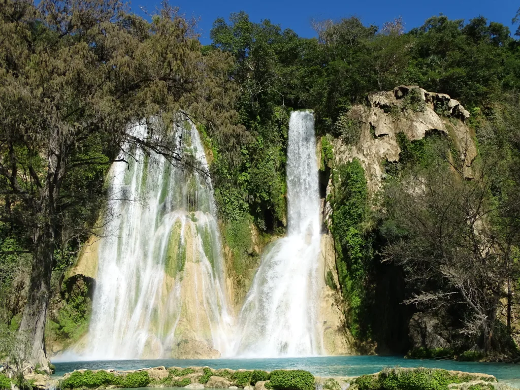 Descubre El Naranjo, en San Luis Potosí, el destino de aguas turquesa en la Huasteca Potosina que puedes visitar con accesos por menos de $100 pesos. Conoce sus cascadas y qué hacer en este paraíso natural. ¿Cuándo te lanzas?