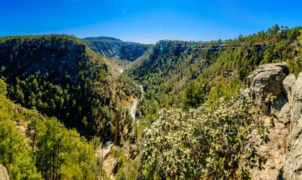 Descubre Guachochi, Pueblo Mágico de Chihuahua y puerta de entrada a la Sierra Tarahumara. Conoce la impresionante Barranca de Sinforosa, conocida como la Reina de las Barrancas, su historia, cultura rarámuri y atractivos naturales. ¿Te gustaría iniciar una nueva aventura?