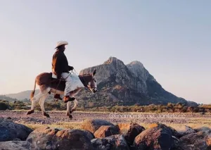 Descubre qué hacer en Jantetelco, Morelos, un destino lleno de historia, naturaleza y cultura. Anótalo dentro de tu agenda viajera.