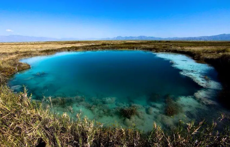 ¡Viaja al origen de la vida! Explora las pozas turquesas y dunas de yeso en Cuatro Ciénegas, Coahuila. Guía de viaje, historia y tips de turismo responsable. ¿Te gustaría ir?