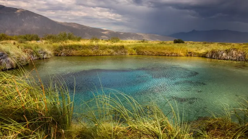 ¡Viaja al origen de la vida! Explora las pozas turquesas y dunas de yeso en Cuatro Ciénegas, Coahuila. Guía de viaje, historia y tips de turismo responsable. ¿Te gustaría ir?