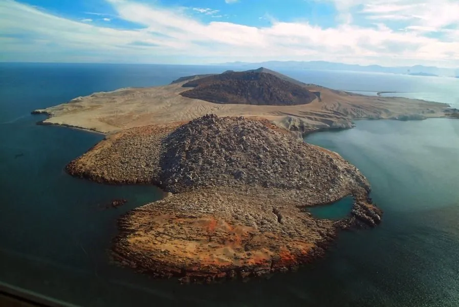 Descubre San Felipe, Baja California, un destino con playas tranquilas, gastronomía fresca y paisajes desérticos únicos. ¿Cuándo vas para allá?… ¡Checa!