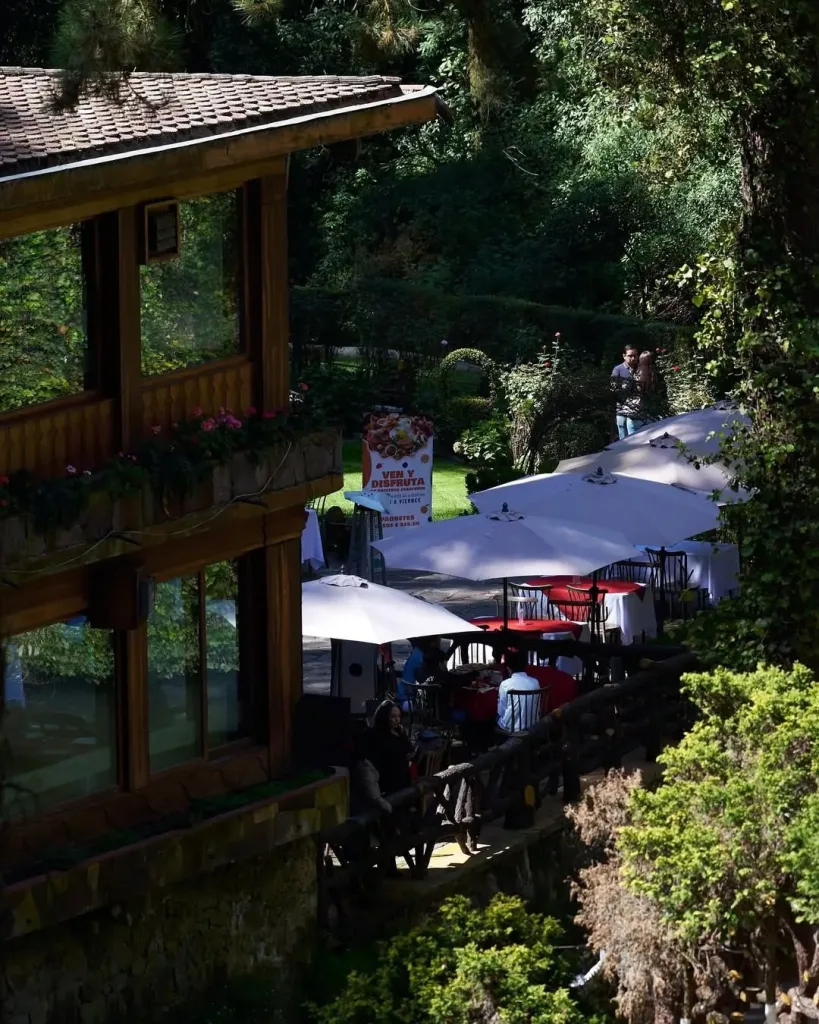 Descubre La Escondida en La Marquesa, un restaurante mexicano rodeado de bosque que parece sacado de Japón. Conoce su historia, ubicación, experiencia gastronómica y por qué es uno de los secretos mejor guardados cerca de Santa Fe. ¿Ya fuiste?
