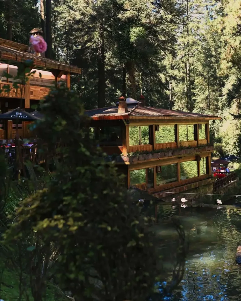 Descubre La Escondida en La Marquesa, un restaurante mexicano rodeado de bosque que parece sacado de Japón. Conoce su historia, ubicación, experiencia gastronómica y por qué es uno de los secretos mejor guardados cerca de Santa Fe. ¿Ya fuiste?
