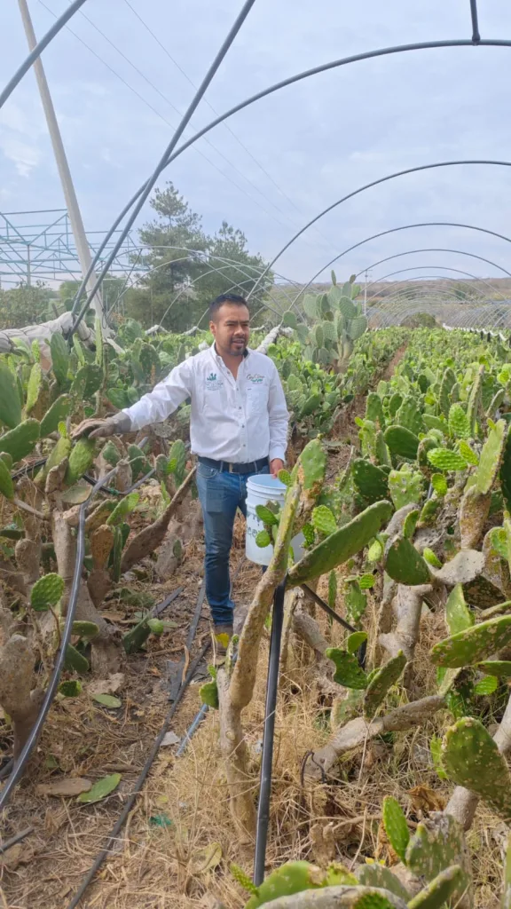 Conoce Valtierrilla, la comunidad de Salamanca, Guanajuato reconocida como Capital Mundial del Nopal, su historia, cultura, producción, tradición gastronómica y el Circuito del Nopal que ha revitalizado el turismo local.