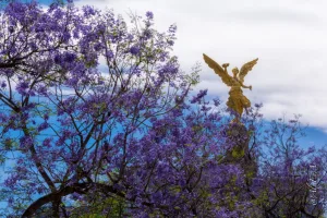 Descubre 5 planes al aire libre para disfrutar la primavera en CDMX: picnic en el Museo Tamayo, Parque Masayoshi Ohira, brunch en Desierto Norte, cine en la Cineteca y paseo en La Mexicana. ¿A cuál irás?