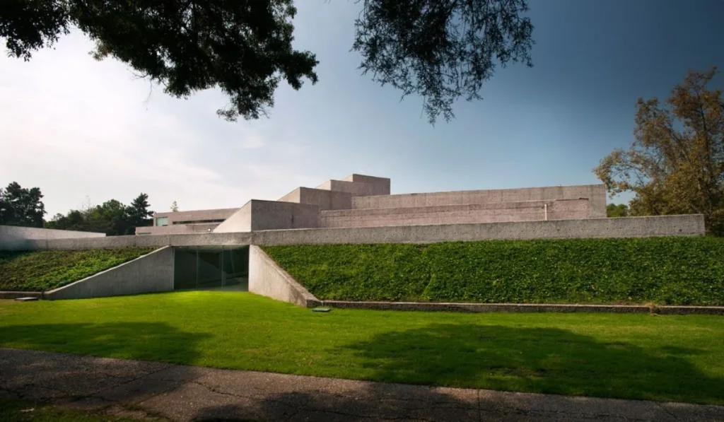Descubre 5 planes al aire libre para disfrutar la primavera en CDMX: picnic en el Museo Tamayo, Parque Masayoshi Ohira, brunch en Desierto Norte, cine en la Cineteca y paseo en La Mexicana. ¿A cuál irás?