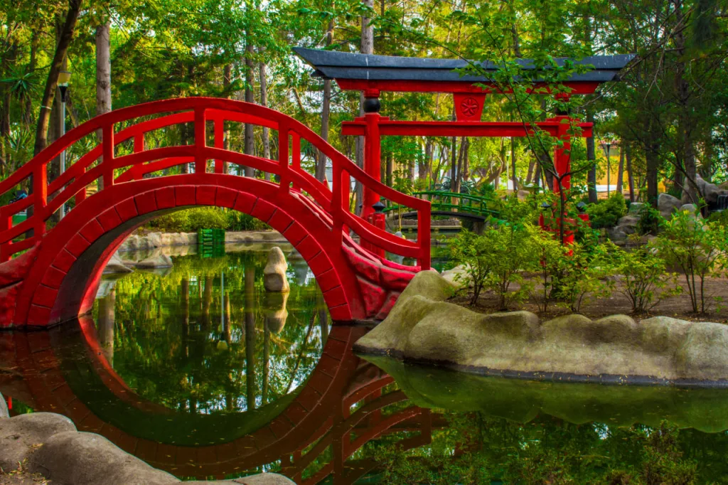 Descubre 5 planes al aire libre para disfrutar la primavera en CDMX: picnic en el Museo Tamayo, Parque Masayoshi Ohira, brunch en Desierto Norte, cine en la Cineteca y paseo en La Mexicana. ¿A cuál irás?