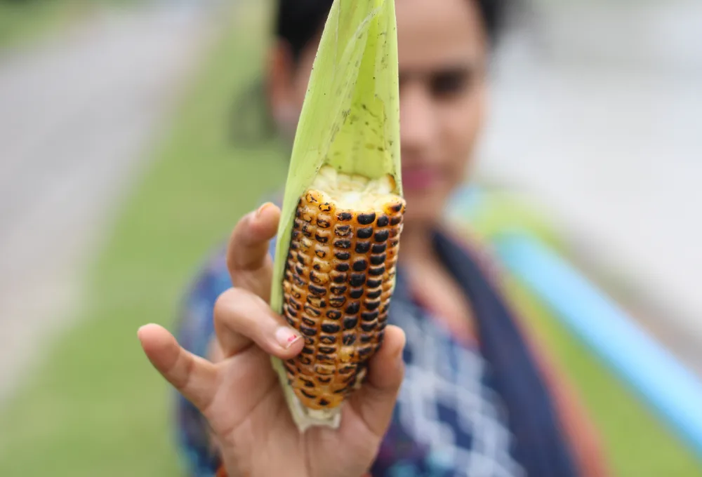 El maíz y el milagro de la nixtamalización. México explicado en 10 sabores de la tierra