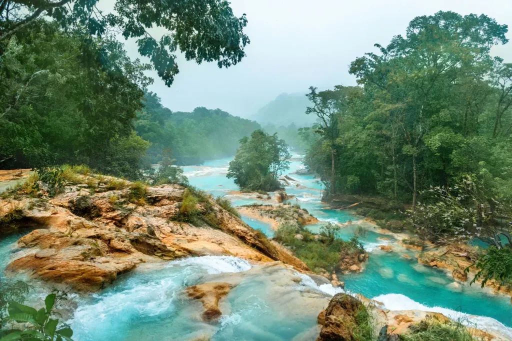 Chiapas busca romper un Récord Guinness rumbo al Mundial 2026 y posicionar a México como destino turístico internacional. Conoce el impacto cultural y turístico del evento. ¿Lo logrará?